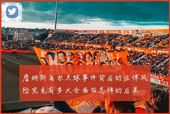 詹姆斯高尔夫球事件背后的法律风险究竟有多大会面临怎样的后果