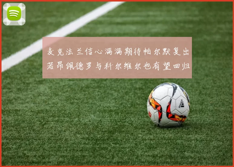 麦克法兰信心满满期待帕尔默复出若昂佩德罗与科尔维尔也有望回归